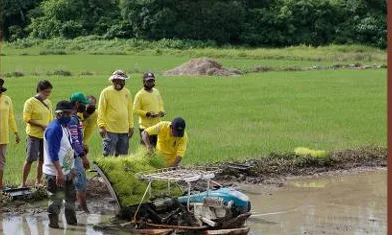 Trainees with a rice transplanter in a paddy
