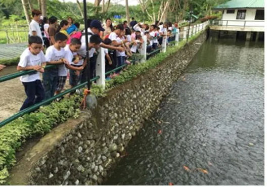 Children looking over the fish pond railing